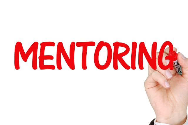 Jak stworzyć program mentoringowy w organizacji?