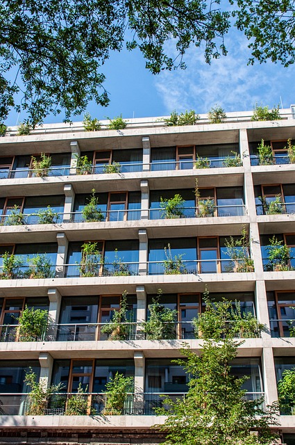 **Korelacja mikroklimatu w studiu filmowym z żywotnością i wydajnością wytwornic baniek mydlanych: Studium przypadku** - 5 2025