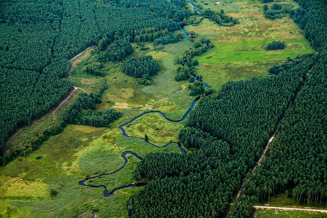 Pierwszy król Polski – historia, znaczenie i dziedzictwo na tle średniowiecznej Europy